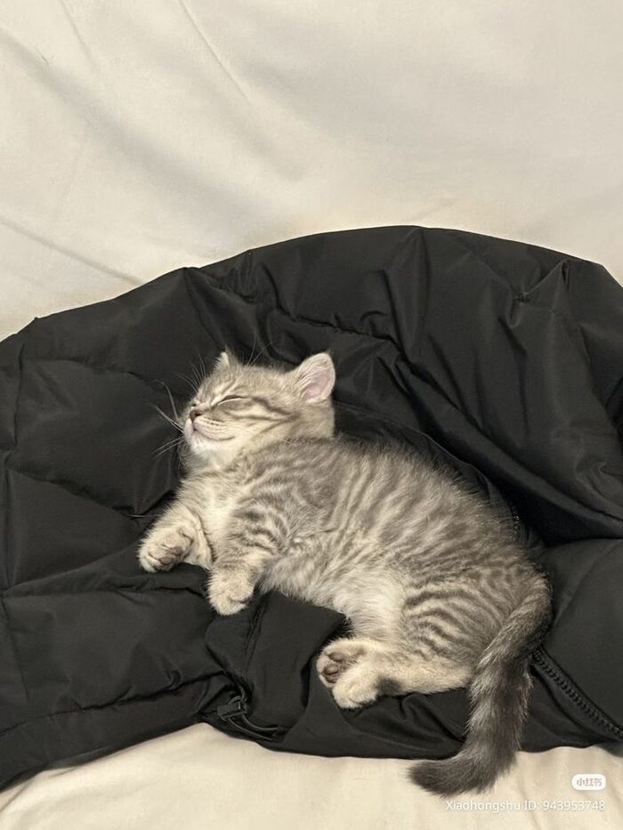 Отстегнул капюшон, чтобы не будить