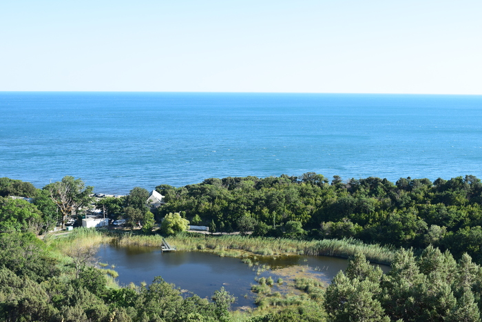 Немного лета вам в ленту