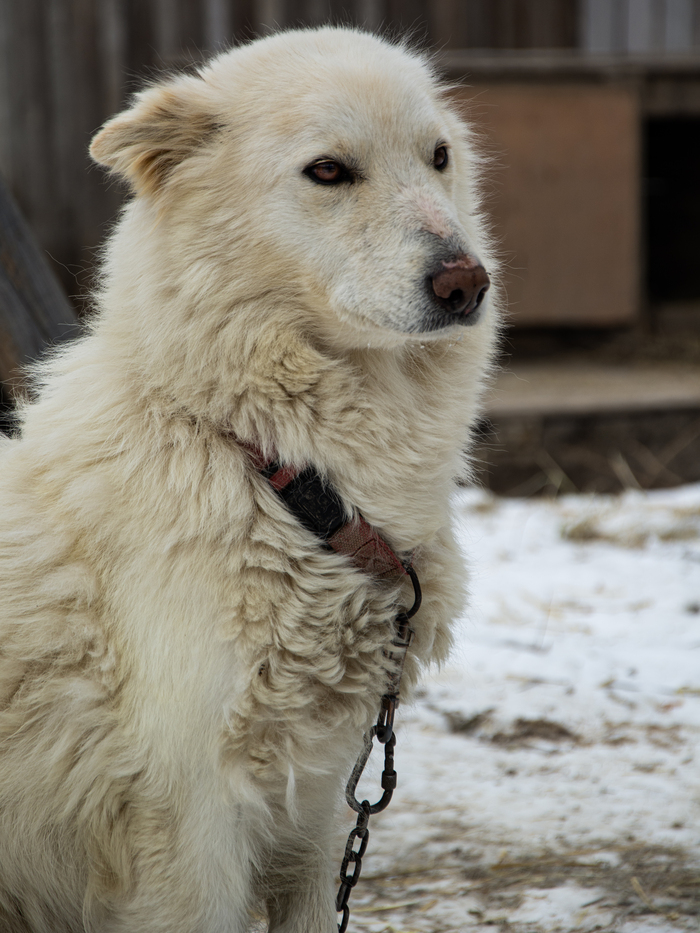  &#x1F642;&#x200D;&#x2194;&#xFE0F;