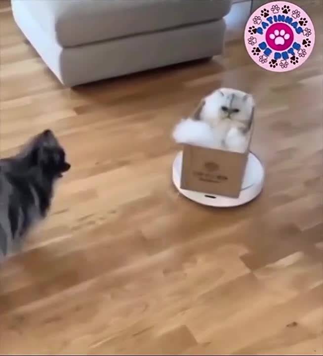 ������������
