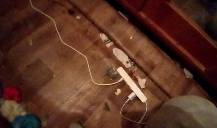 состояние пола