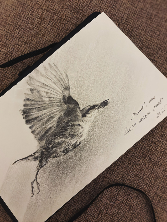 Доди пока не поддается достойному рисованию углем, но работы ведутся. Здесь — карандаш.