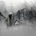 user11231165