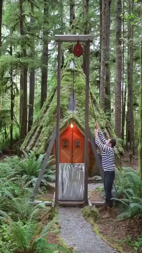 Самодельная гильотина - Мужчины, Лес, Дом, Собака, Гильотина, Тест, Дрова, Coca-Cola, Торт, Разрубатель, Видео, Вертикальное видео, Короткие видео