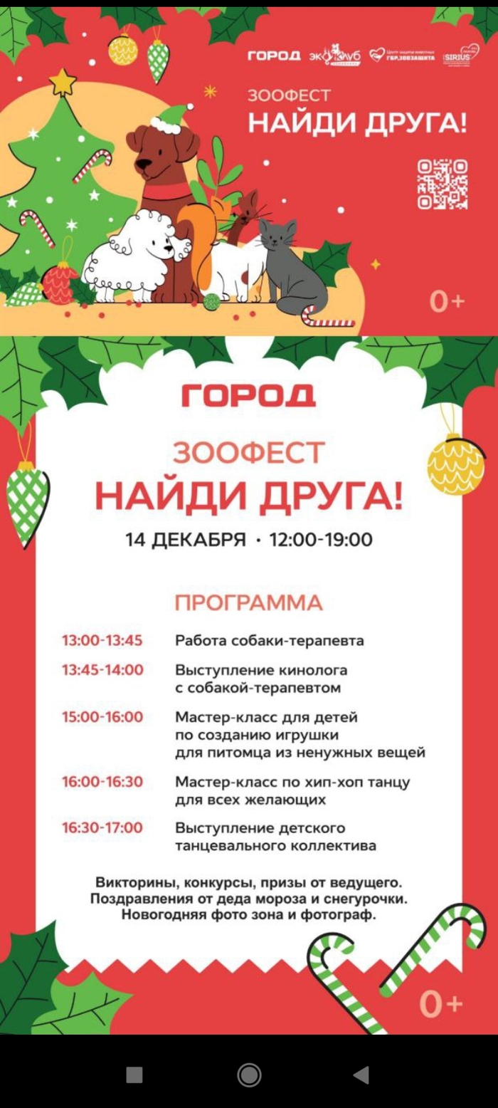 ФЕСТИВАЛЬ-ПРИСТРОЙСТВО ЖИВОТНЫХ 14 ДЕКАБРЯ МОСКВА И МО