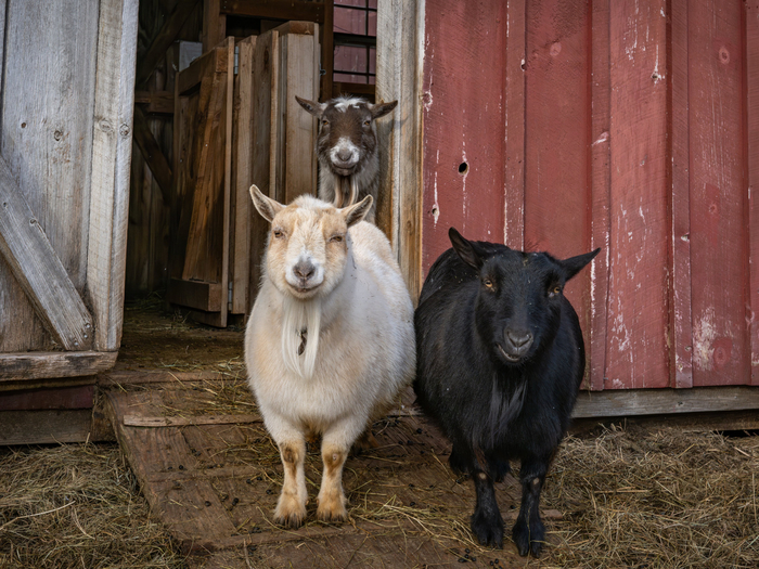      !         .  ,   ,     .