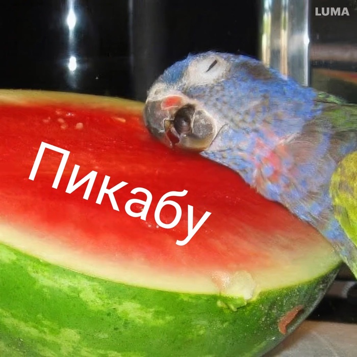 Ответ на пост «Селёдка с молоком, гороховый суп и прочие ужасы»