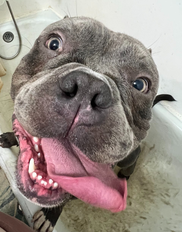 Погуляли - теперь и помыться можно