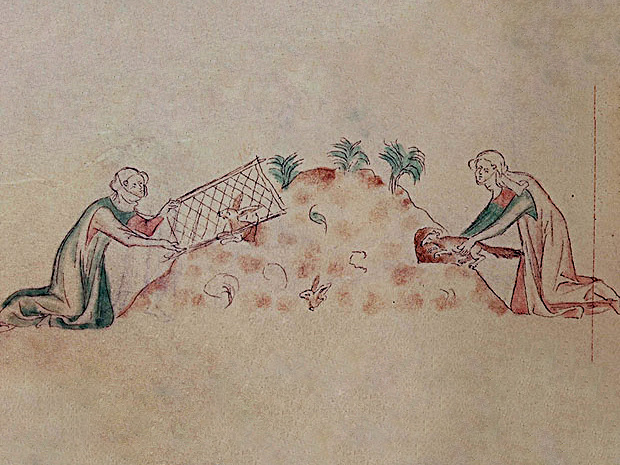 Хорёк был одомашнен аж 2500 лет назад, предположительно для охоты на грызунов! На средневековой миниаютюре изображено хорькование, 1-ая четверть XIV века.