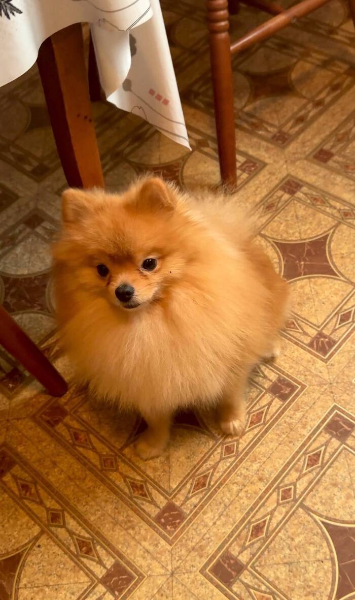 За день до года