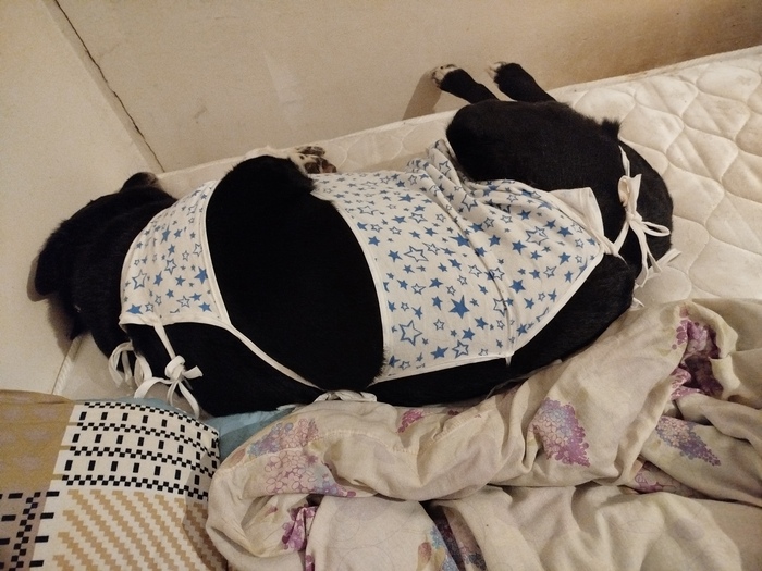 Болели и грустили, пришлось пустить в кровать