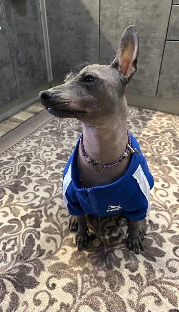 "Главное, чтобы костюмчик сидел"