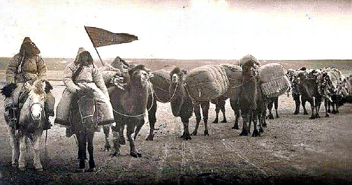 Вот примерно так все они и выглядели.Только снега было намного больше.