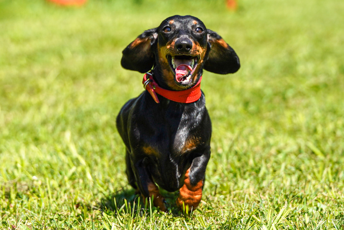 А вам разве травка пузико не щекочет?