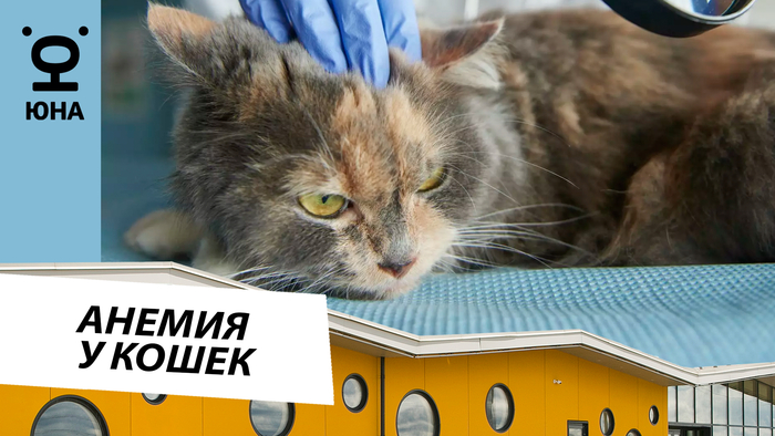 �������������� ������ � �����: ���������� ��������� � ������� �������� �������