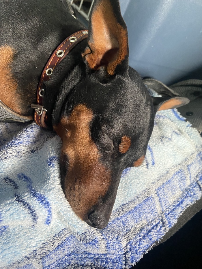 И поспать после.