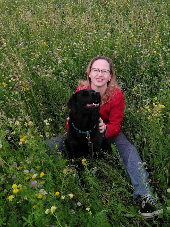 Ответ atomicledokol в «Довольная собака»