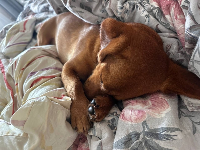 Соня она и есть Соня.