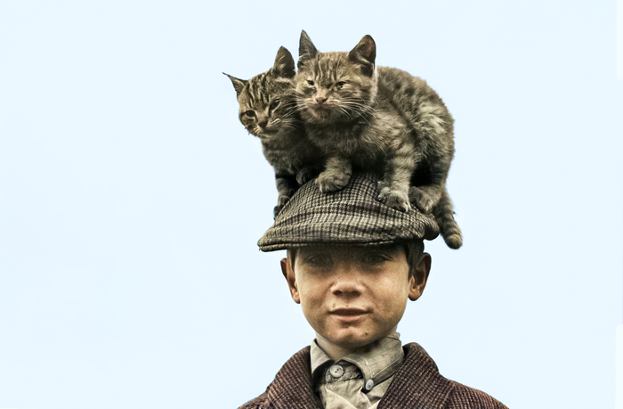 Фотограф: Ален МакУини