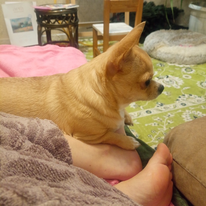 Любимая поза