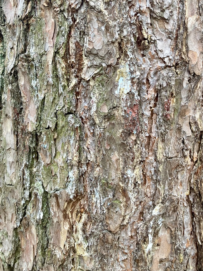 <a href="https://pikabu.ru/story/kora_13486597?u=https%3A%2F%2Fcs20.pikabu.ru%2Fs%2F2025%2F12%2F10%2F23%2Fdj42wqiq.jpg&t=https%3A%2F%2Fcs20.pikabu.ru%2Fs%2F2025%2F12%2F10%2F23%2Fdj42wqiq.jpg&h=c13ac233ae18bcb1caf13043157c69f41b51baf5" title="https://cs20.pikabu.ru/s/2025/12/10/23/dj42wqiq.jpg" target="_blank" rel="noopener">https://cs20.pikabu.ru/s/2025/12/10/23/dj42wqiq.jpg</a>