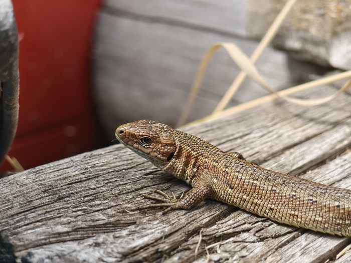 Ответ на пост «Мой лучший кадр в 2024 году»