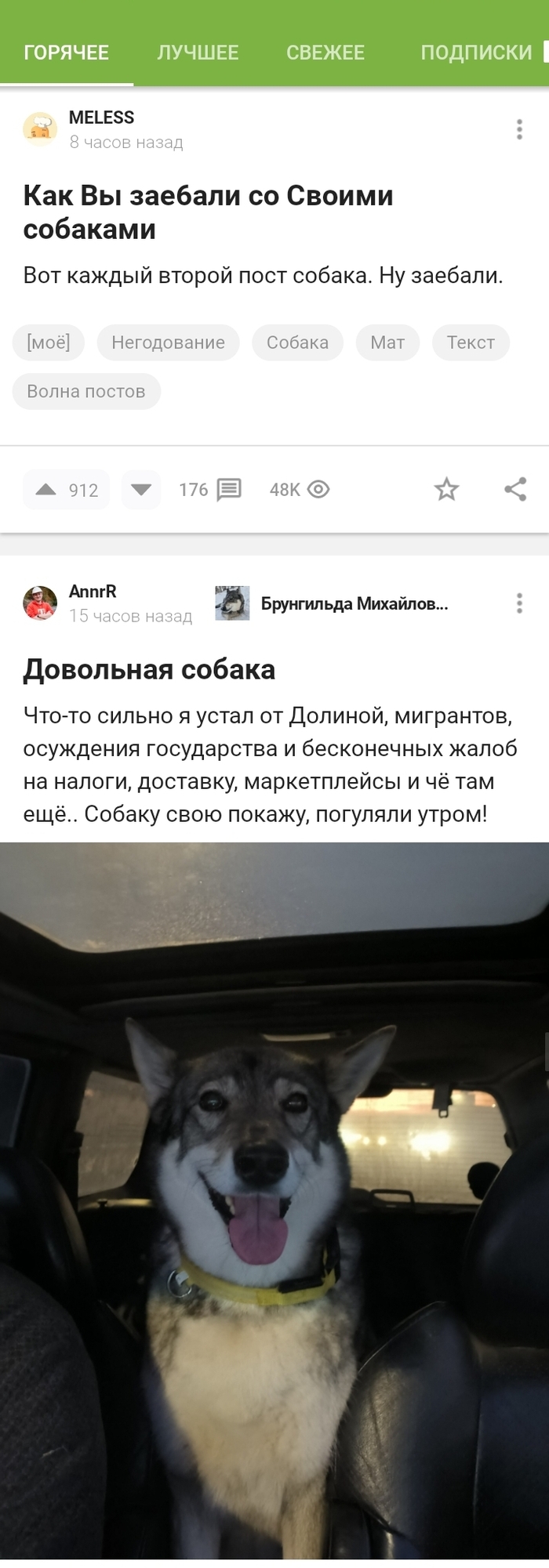 Собакены и антисобакены