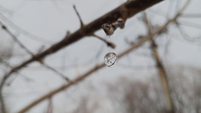 Ответ на пост «Мой лучший кадр в 2024 году»