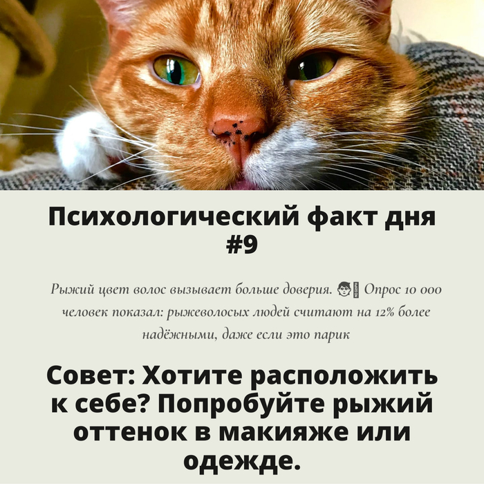 Психологический факт дня #9