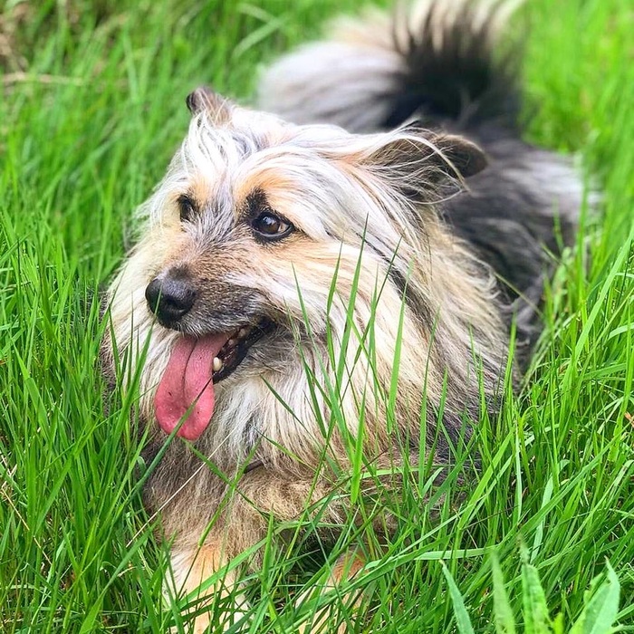 Но каждый такой снимок для нас счастье
