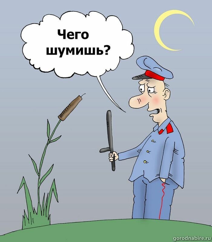 Участковый