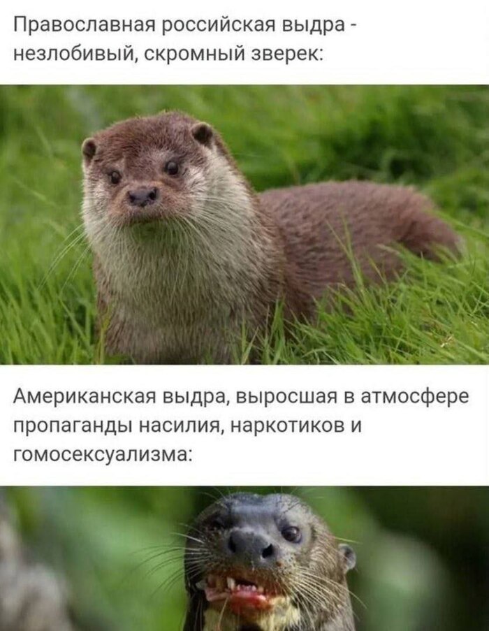 Минутка Зоологии