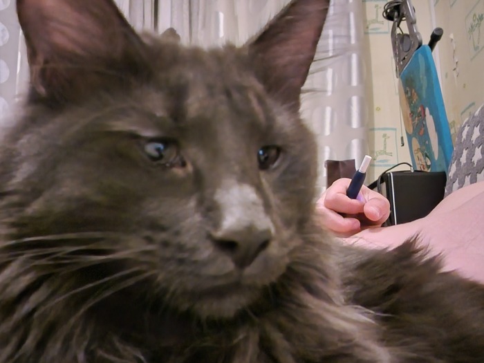 Ответ на пост «Современные болезни. СДВГ»