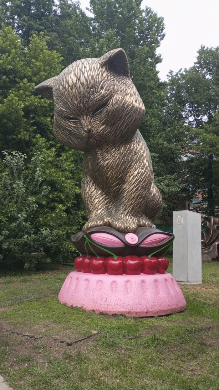 Котик на вишнёвой подушке. Москва, 2025