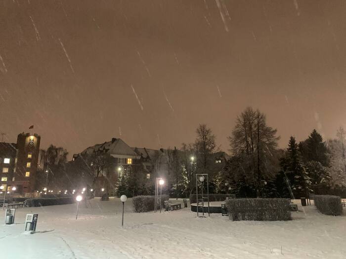 166 дней Есенина #82