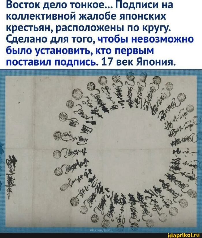Ответ на пост «Ребята, пожалуйста, поднимите в ТОП! Я ВЕРЮ В СИЛУ ПИКАБУ. Помогите не дать замять ситуацию»