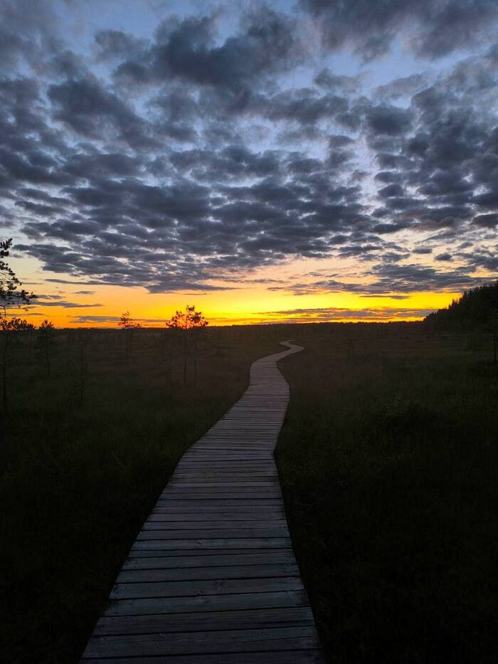 Лучший кадр 2025