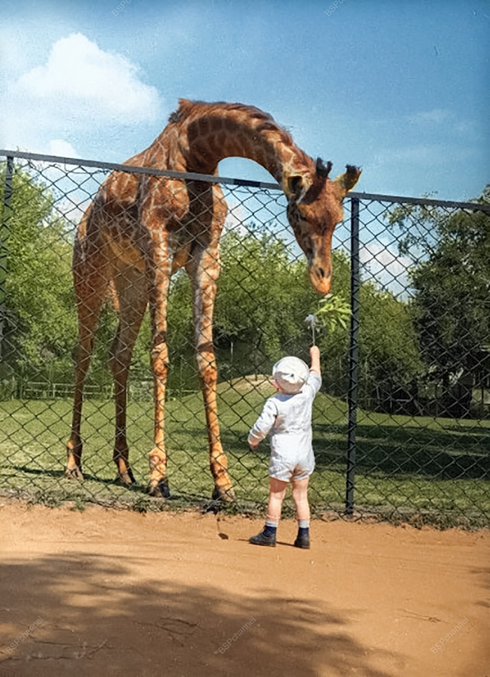 Фотограф: Сергей Васин