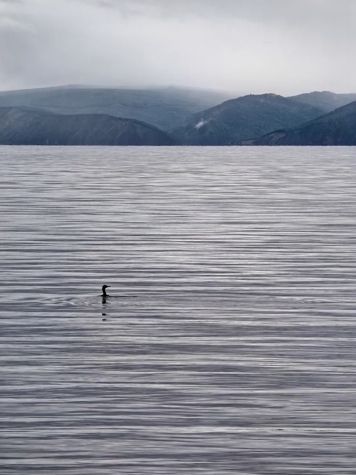 Ответ на пост «Лучший кадр 2025 года»