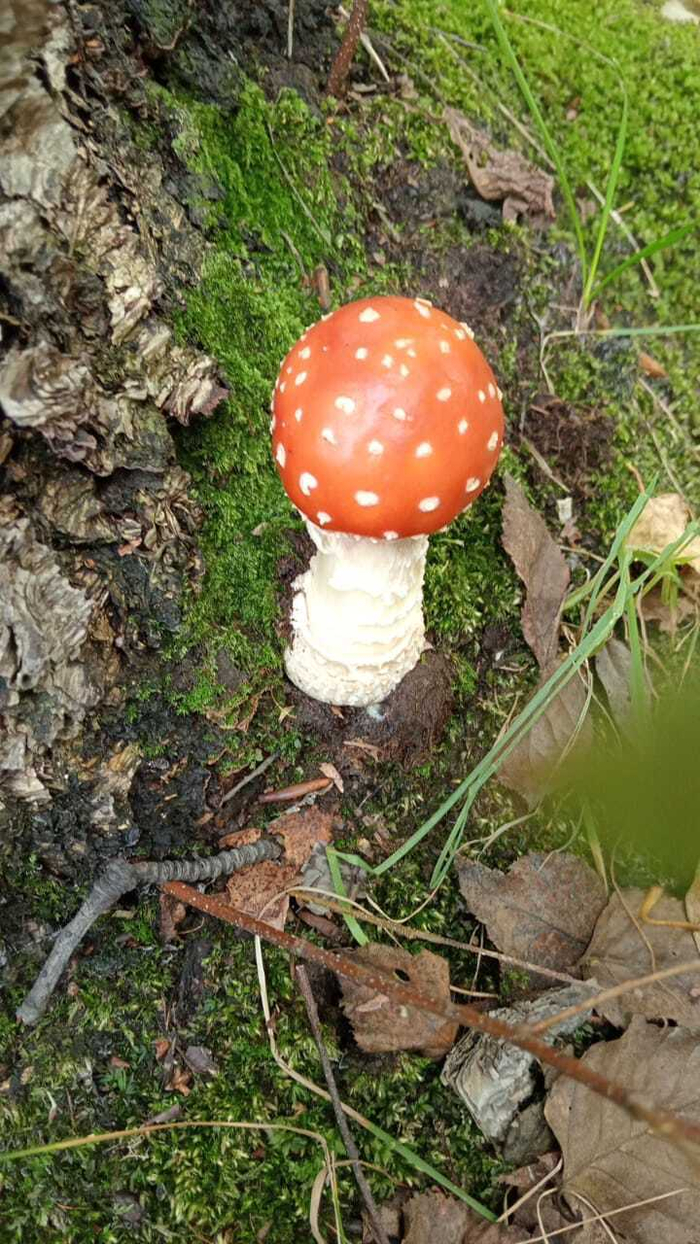 Ответ на пост «Лучший кадр 2025 года»