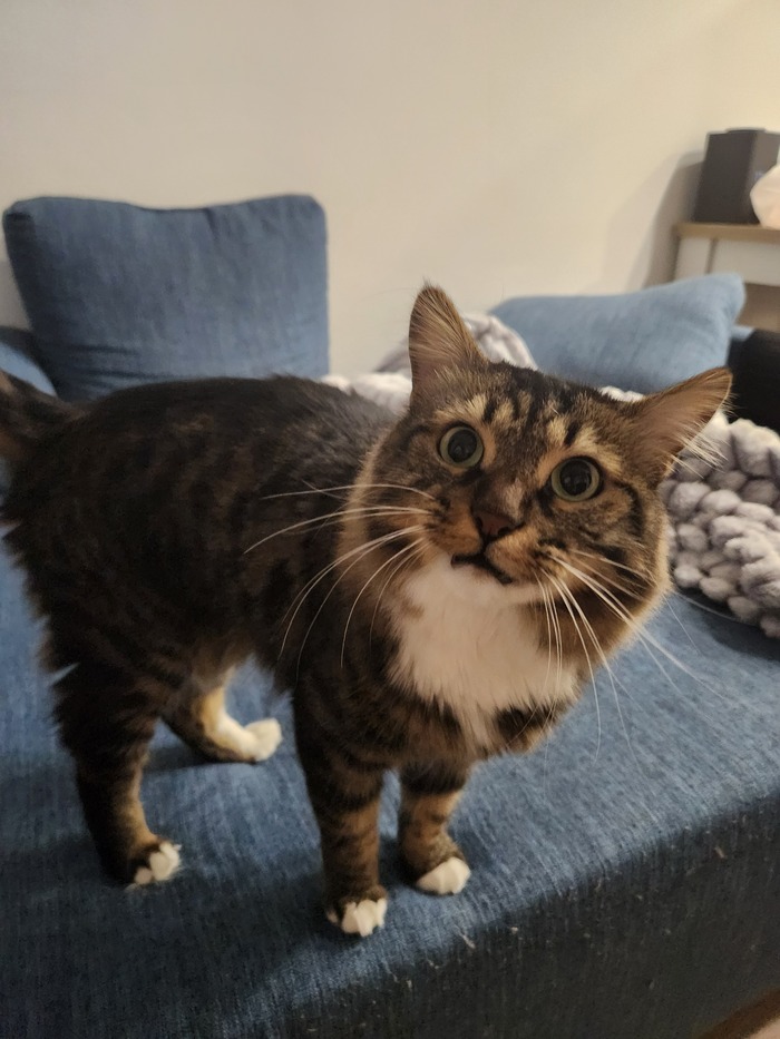 Ежедневный Рислинг #139