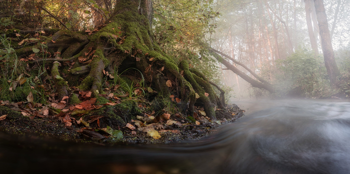 Фото: Nikita<a href="https://pikabu.ru/story/lesnyie_taynyi_13494098?u=https%3A%2F%2Frtraveler.ru%2Fphoto%2F1479953%2F%3Feditorial_photos%3D1&t=%D0%BE%D1%82%D1%81%D1%8E%D0%B4%D0%B0&h=047cb9acae2a87c39e1713045cfd074361e497c4" title="https://rtraveler.ru/photo/1479953/?editorial_photos=1" target="_blank" rel="nofollow noopener"> отсюда</a>