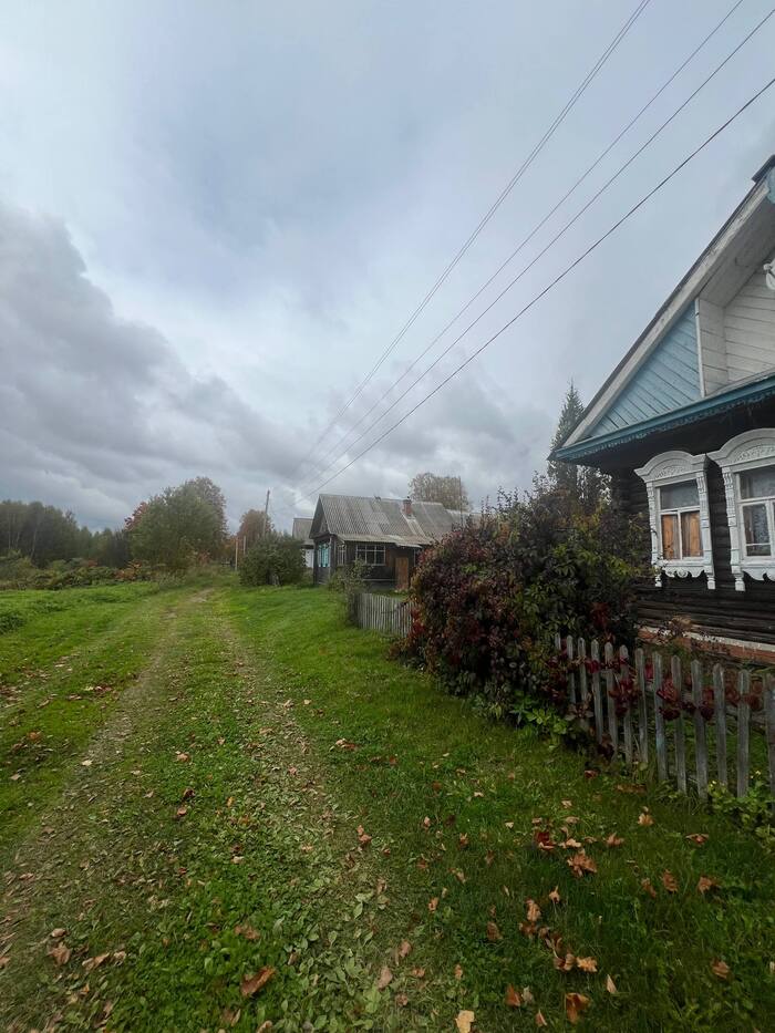 ����� �� ���� ������� ���� 2025 ����