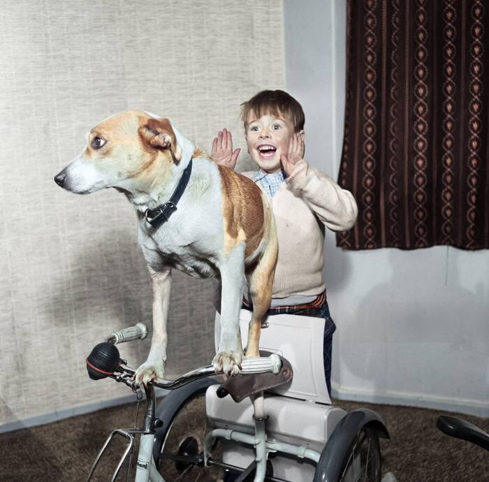 Люди учатся только на своих ошибках