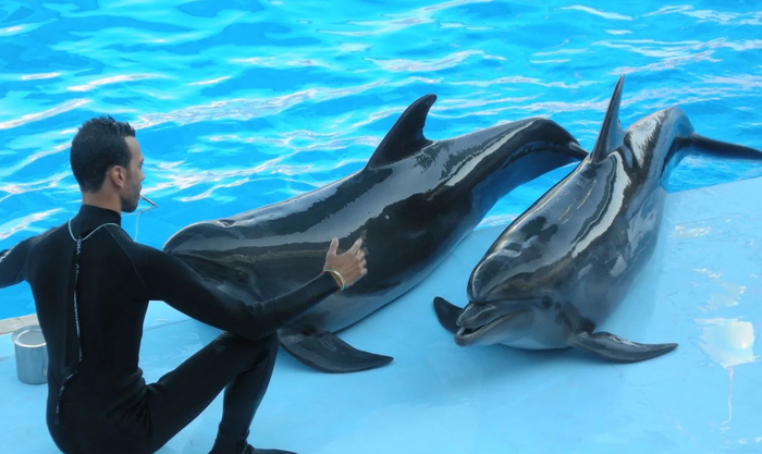 В отделе по работе с трудными подростками.