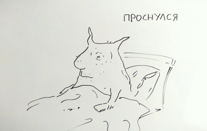 Ответ на пост «Какая же милая моська»