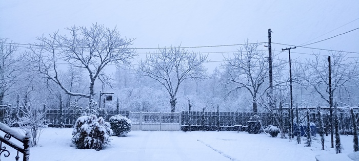 Ответ на пост «Лучший кадр 2025 года»