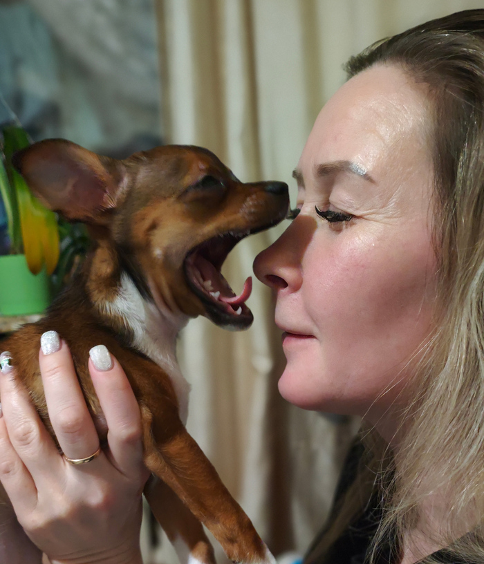 Фото моё, собака моя, жена тоже моя