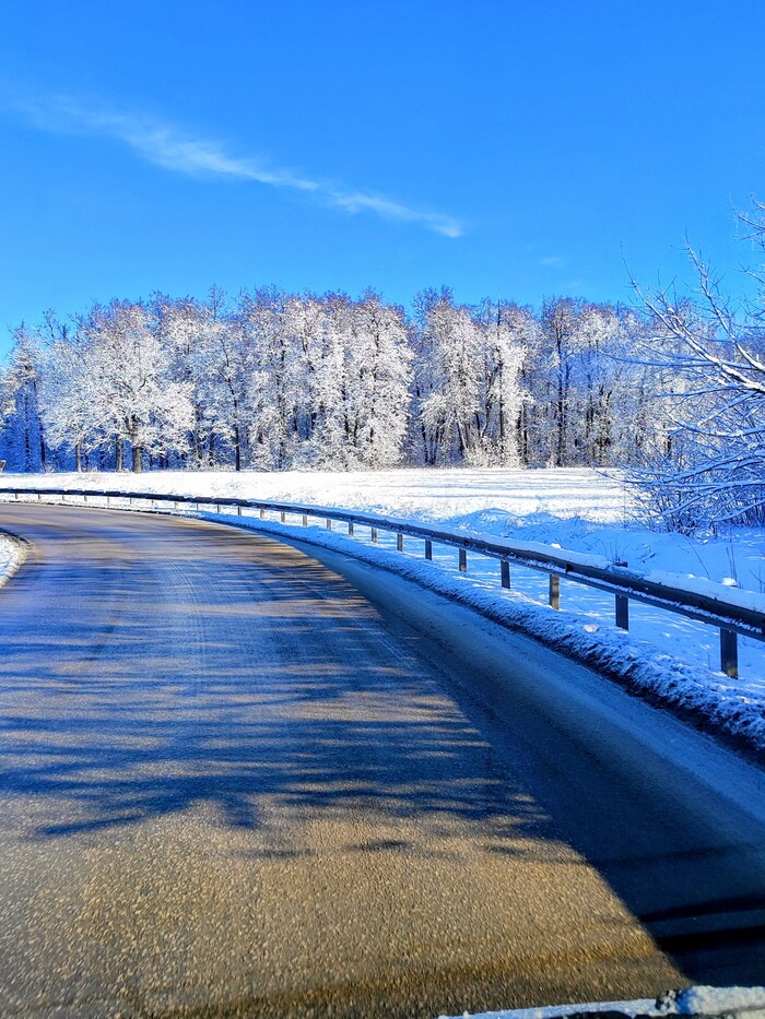 ��� ������ ���� 2025 ����