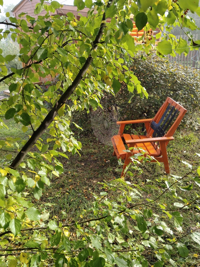 Ранняя осень, утро, дача